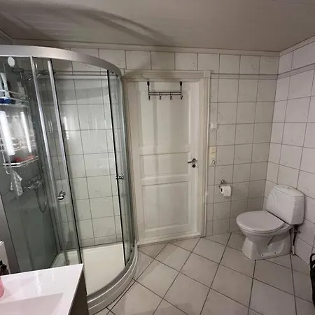 Sentrumsnaer דירה *